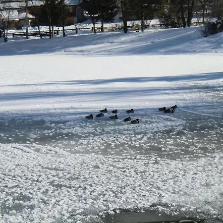 Appartement In Stubaital Near Lift, Cleaning Included