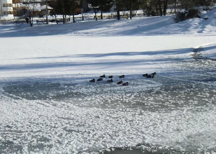 Apartment In Stubaital Near Lift, Cleaning Included